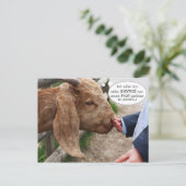 ...エインマルフォンエネムプロフィgefuttert zwerden... ポストカード (スタンド正面)