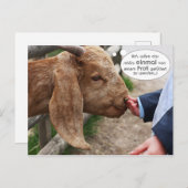 ...エインマルフォンエネムプロフィgefuttert zwerden... ポストカード (正面/裏面)