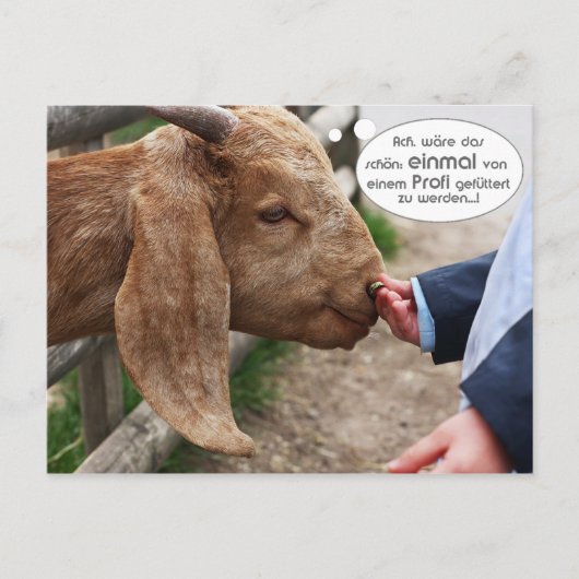 ...エインマルフォンエネムプロフィgefuttert zwerden... ポストカード (正面)