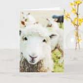 エウかわいこちゃんヒツツムカントリーアニマルノテ空白のカード カード (黄色い花)