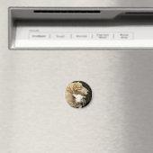 エウェとラムの磁石 マグネット (インサイチュ (食洗機))