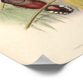 エウリュライムスジャバニクスヴィンテージバードオブアジア ポスター (角)