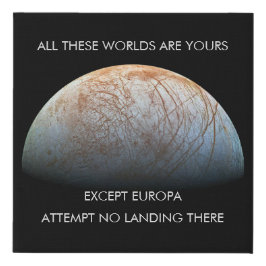 エウロパ宇宙オデッセイ引用文 フェイクキャンバスプリント