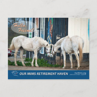 エキサイティングなバケット&ベルのスターレットポストカード ポストカード