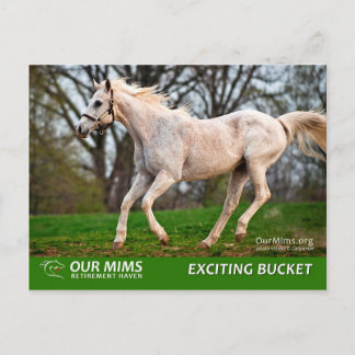 エキサイティング・バケットのポストカード ポストカード