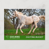 エキサイティング・バケットのポストカード ポストカード (正面)