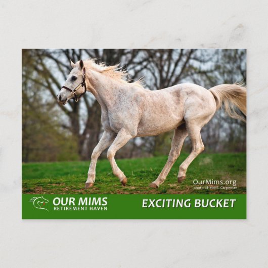 エキサイティング・バケットのポストカード ポストカード (正面)