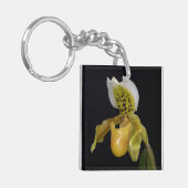 エキスル乳頭蓋 キーホルダー (正面左)