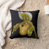 エキスル乳頭蓋 クッション (ブランケット)