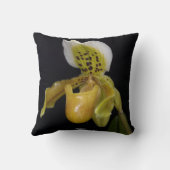 エキスル乳頭蓋 クッション (裏面)