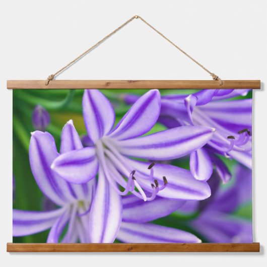 エキゾチックなアフリカユリ 吊り下げ型タペストリー (正面)