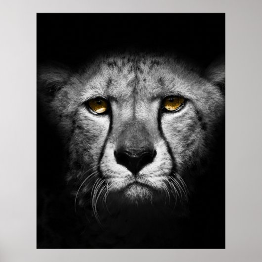 エキゾチックなアフリカ動物 ポスター (正面)