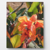 エキゾチックなオレンジ色の花 フォトプラーク (正面)