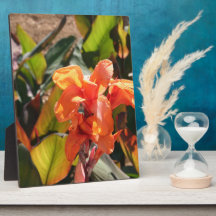 エキゾチックなオレンジ色の花