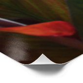 エキゾチックなオレンジ色の花 ポスター (コーナー)