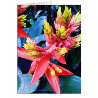 エキゾチックなオレンジ黄色の美しい花カード