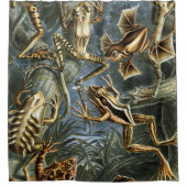 エキゾチックなカエルのエルンスト・ヘッケルの変化: Batrachia シャワーカーテン (正面)