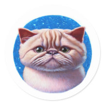 エキゾチックなショートヘア