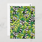 エキゾチックなジャングルのマダガスカルのレムルス ポストカード (正面/裏面)