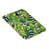 エキゾチックなジャングルのマダガスカルのレムルス マグネット (右側)