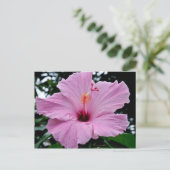 エキゾチックなトランペットの花 ポストカード (スタンド正面)