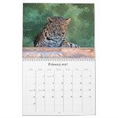エキゾチックなネコ科の繁殖の混合物 カレンダー (2月 2027)