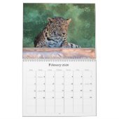 エキゾチックなネコ科の繁殖の混合物 カレンダー (2月 2026)