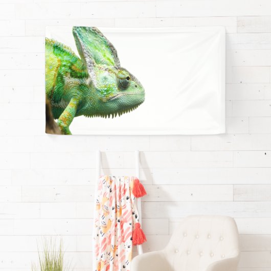 エキゾチックなハ虫類 横断幕 (インサイチュ)