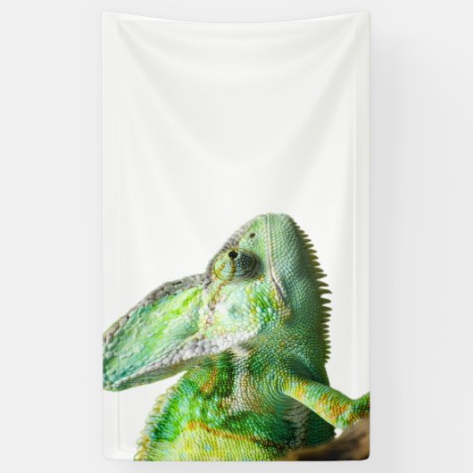 エキゾチックなハ虫類 横断幕 (縦)