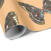 エキゾチックなバターフィアアートスケッチ ラッピングペーパー (ロールコーナー)