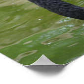 エキゾチックなブラックスワン ポスター (角)