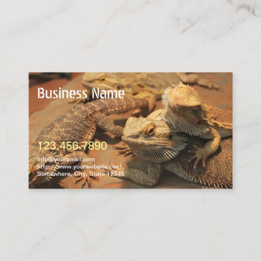 エキゾチックなペットと爬虫類写真 名刺 (正面)