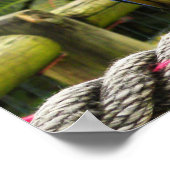 エキゾチックなマカオパロット ポスター (角)