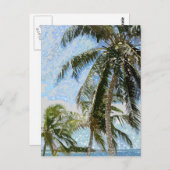 エキゾチックなヤシの木 ポストカード (正面/裏面)
