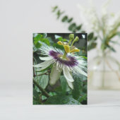 エキゾチックな熱帯のパッションフルーツフラワー ポストカード (スタンド正面)