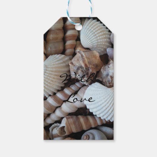 エキゾチックな熱帯夏の貝殻写真 ギフトタグ (正面)