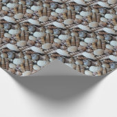 エキゾチックな熱帯夏の貝殻写真 ラッピングペーパー (角)