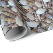 エキゾチックな熱帯夏の貝殻写真 ラッピングペーパー (ロールコーナー)