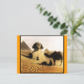 エキゾチックな目的地：エジプト ポストカード (スタンド正面)