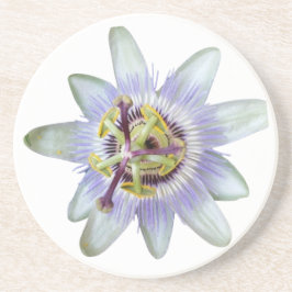 エキゾチックな紫色のパッションフラワーサンドストーンコースター コースター