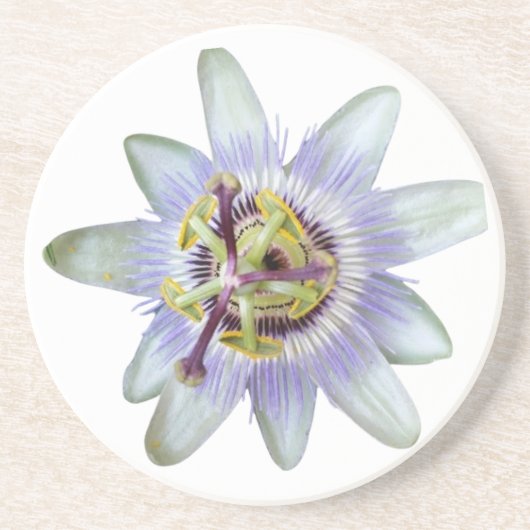 エキゾチックな紫色のパッションフラワーサンドストーンコースター コースター (正面)