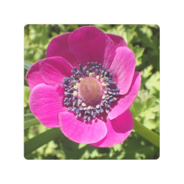 エキゾチックな紫色の花，マクロフォト –  メタルプリント