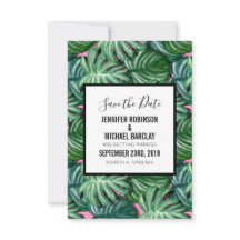 エキゾチックな緑葉の熱帯のパターン