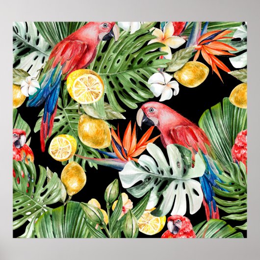 エキゾチックな脱出：水彩パラダイス ポスター (正面)