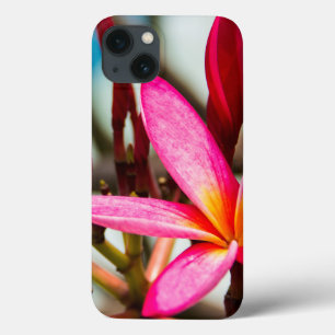 エキゾチックな花の背景プルメリア開花 iPhone 13ケース