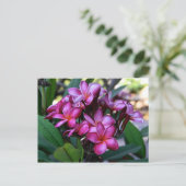 エキゾチックな花はがき ポストカード (スタンド正面)