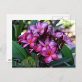 エキゾチックな花はがき ポストカード (正面/裏面)