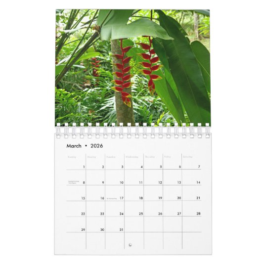 エキゾチックな花コレクションショーケースウォールカレンダー カレンダー (3月 2026)