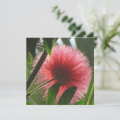 エキゾチックな赤い花，マクロ写真 –  サンキューカード (スタンド正面)