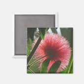エキゾチックな赤い花，マクロ写真 –  マグネット (正面/裏面)